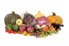 Vegetables-Mixed-Resize